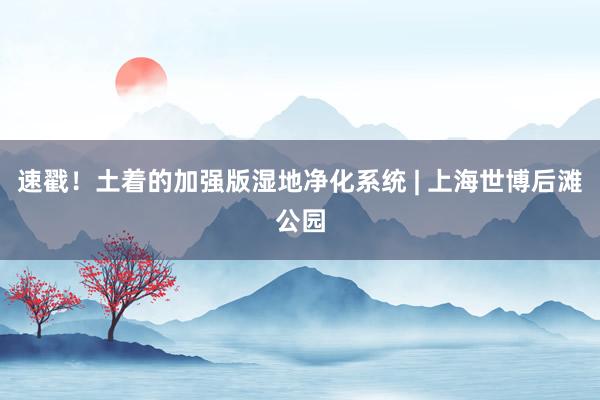 速戳！土着的加强版湿地净化系统 | 上海世博后滩公园