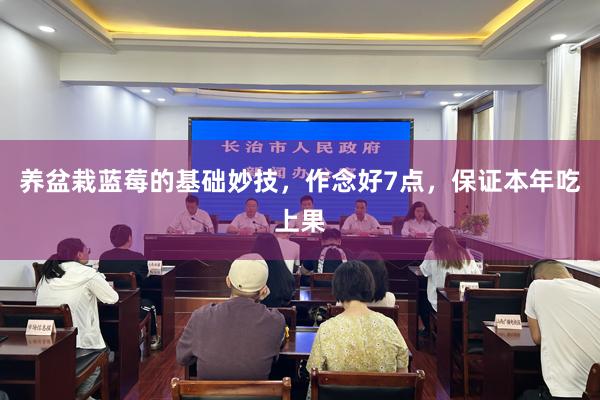 养盆栽蓝莓的基础妙技，作念好7点，保证本年吃上果
