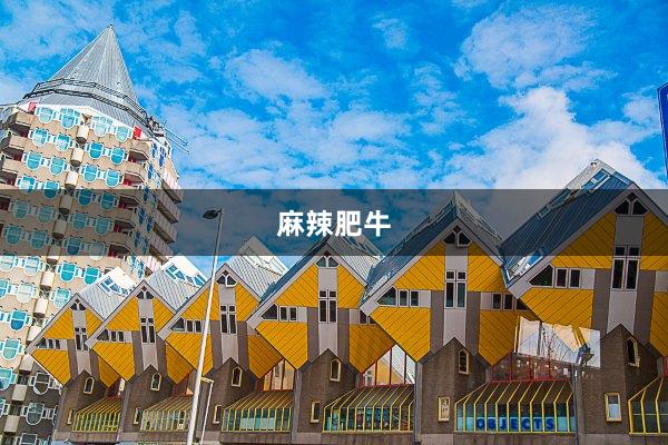 麻辣肥牛