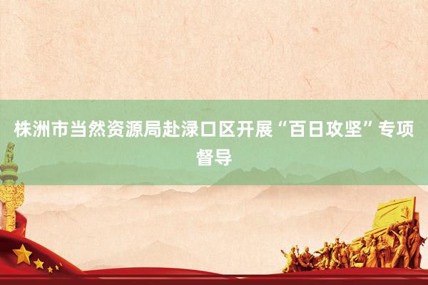 株洲市当然资源局赴渌口区开展“百日攻坚”专项督导