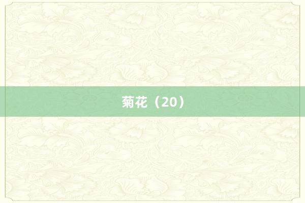 菊花（20）