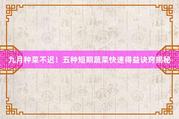 九月种菜不迟！五种短期蔬菜快速得益诀窍揭秘