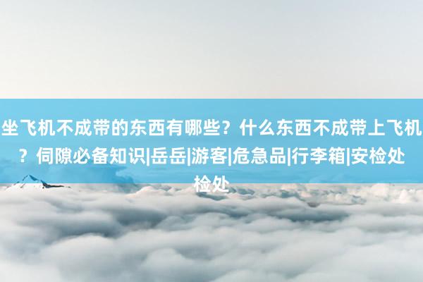 坐飞机不成带的东西有哪些？什么东西不成带上飞机？伺隙必备知识|岳岳|游客|危急品|行李箱|安检处