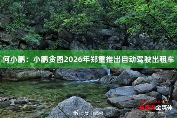何小鹏：小鹏贪图2026年郑重推出自动驾驶出租车